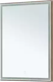 Зеркало Aquanet Nova Lite 60х80 249510 с подстветкой, сенсорный выключатель, Дерево темное