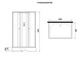 Душевая кабина Niagara Promo 100х80х200 P100/80/26Q/MT/BK средний поддон, без гидромассажа