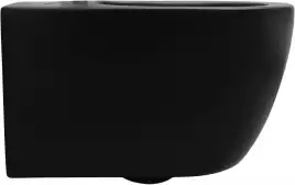 Унитаз подвесной Aquanet Rimless Cetus-BW BL-102N-WHT, с сиденьем микролифтом